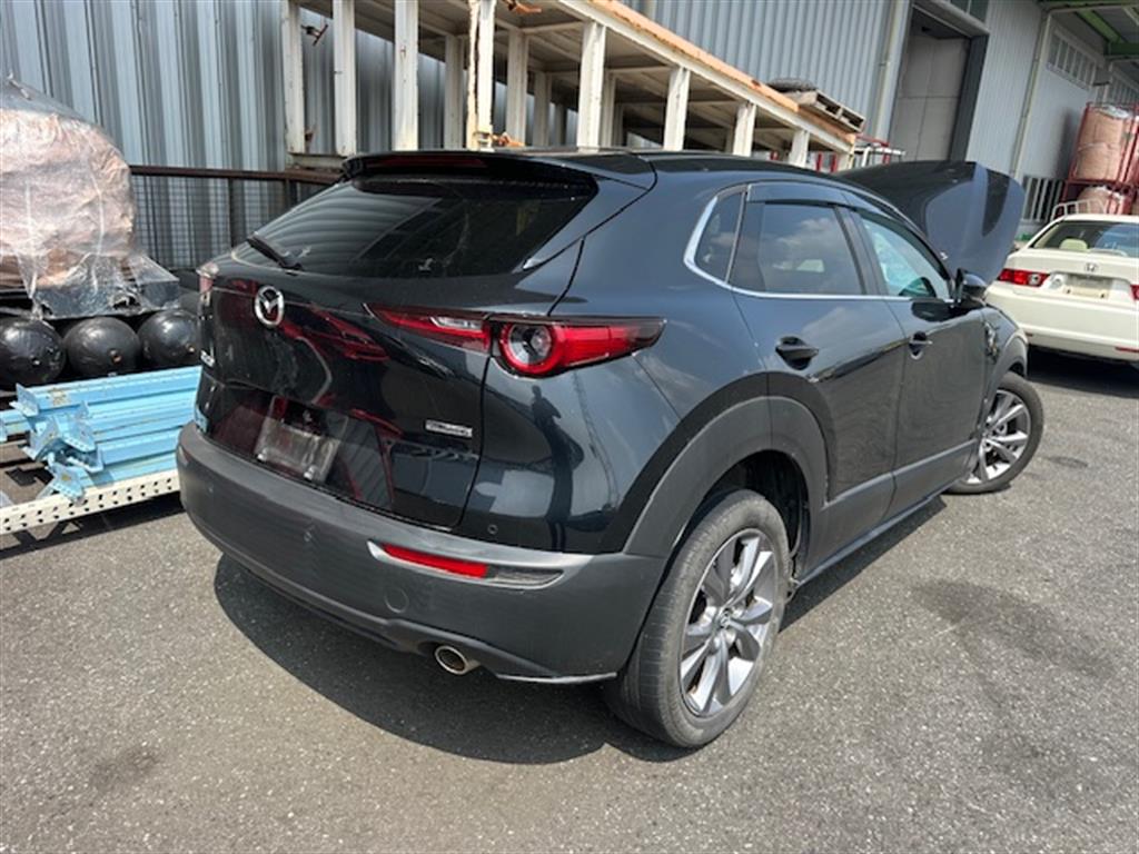 Mazda, Cx30 Bootlid/Tailgate Tailgate, W/ Power Liftgate Type, Dm, 10/19-