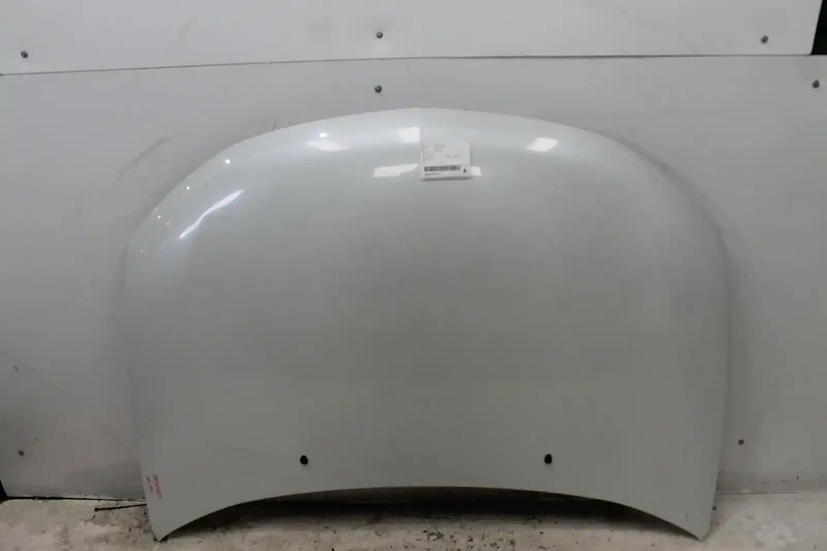Used Mitsubishi, Outlander Bonnet Zg 11/06 09/09 2006 – image 1 - All Good Parts