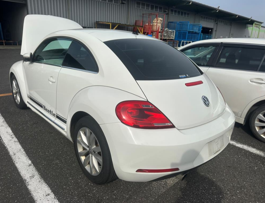 Volkswagen, Beetle Left Front Door 1L, 05/12-12/16