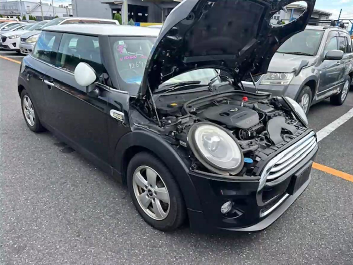 Mini, Cooper Right Guard F55/F56/F57, 04/14-01/24