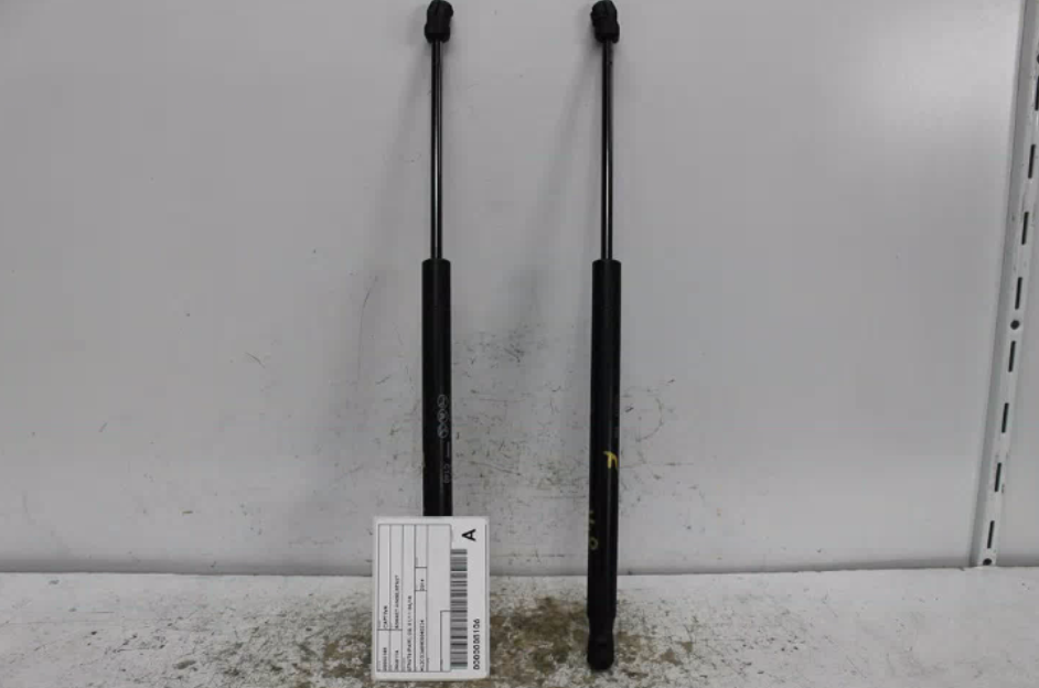 Used Holden, Captiva Bonnet Hinge/Strut Struts (Pair) Cg 01/11 06/18 2014 – image 1 - All Good Parts