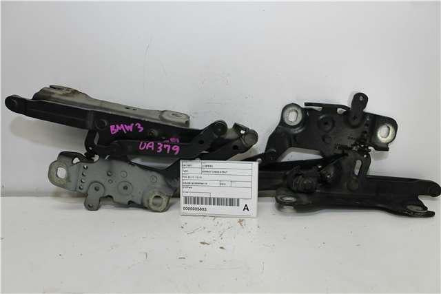 2013, BMW, 320i, F30, Bonnet Hinge/Strut