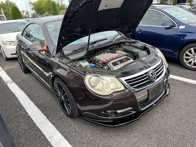 Volkswagen, Eos Radiator 2.0, Bwa, Petrol Turbo, 02/07-04/10