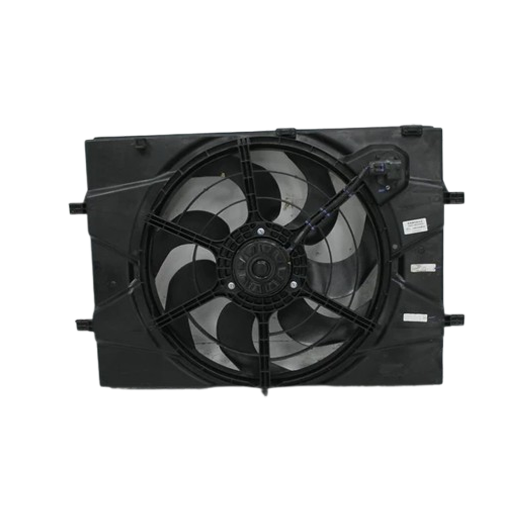 Fan