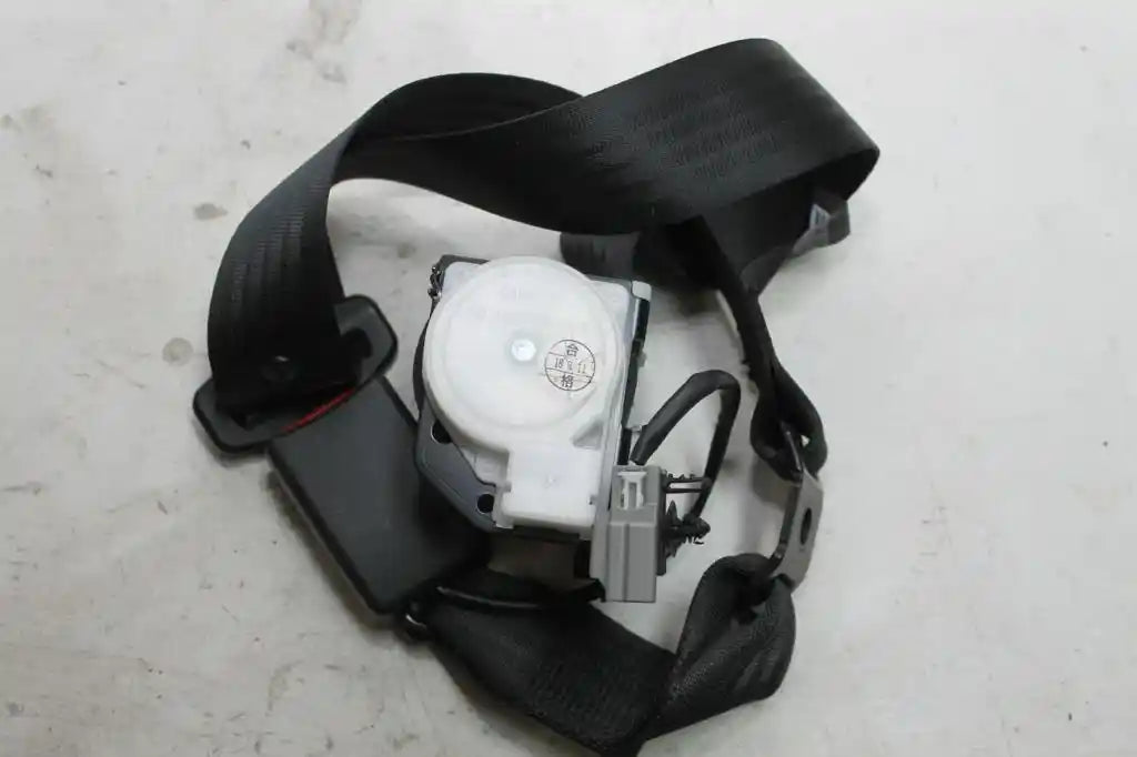 Used Ford, Ranger Seat Belt Centre Rear Assy (Belt And Stalk) Px Series 2 & 3 06/15 04/22 2018 – image 1 - All Good Parts