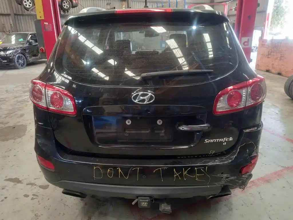 Hyundai, Santa Fe Left Rear Door Cm Non Mould Type 09/09 06/12