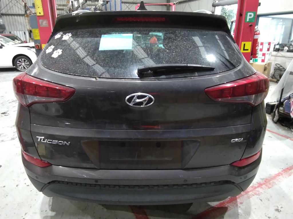 Hyundai, Tucson Left Front Door Window Tl, 06/15-01/21