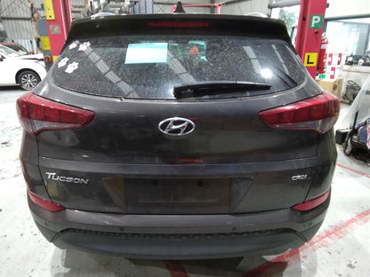 Hyundai, Tucson Left Front Door Window Tl, 06/15-01/21