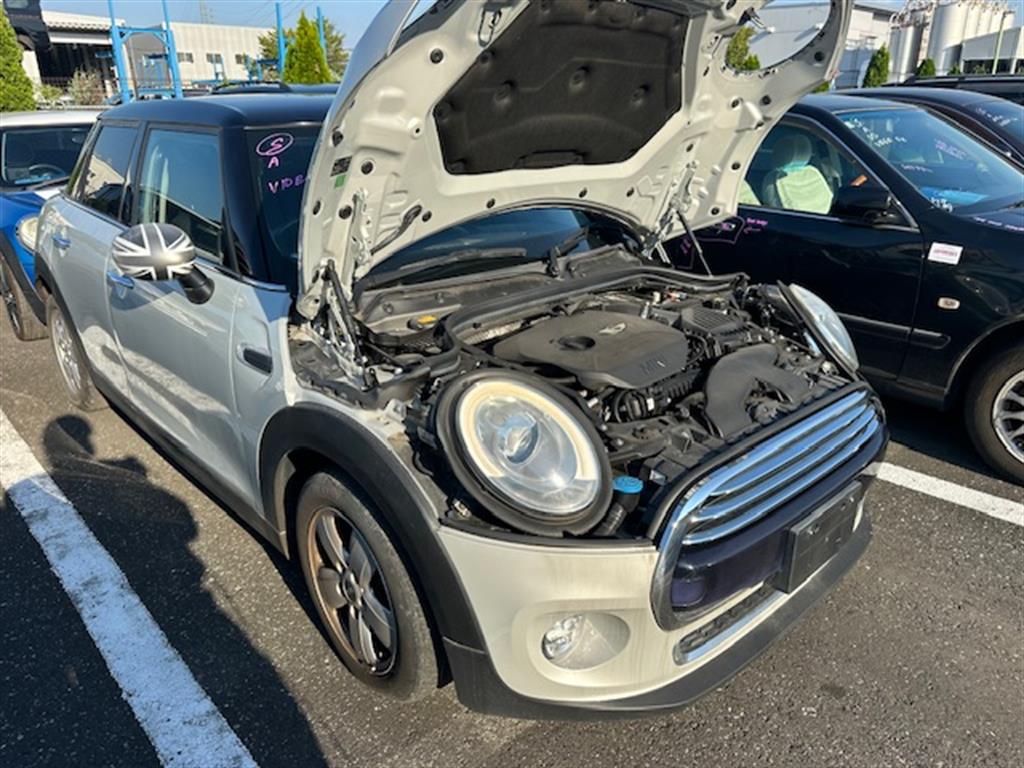 Used MINI, Cooper, Right Guard Liner Front, F55/F56, Standard/Cooper S, 04/14-02/21 2015 – image 3 - All Good Parts
