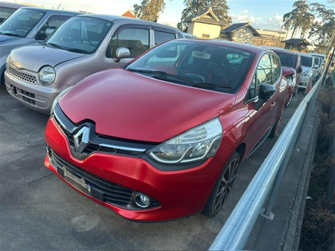 Renault, Clio, Left Indicator/Fog/Side Bumper Foglamp, X98, 09/13-07/16