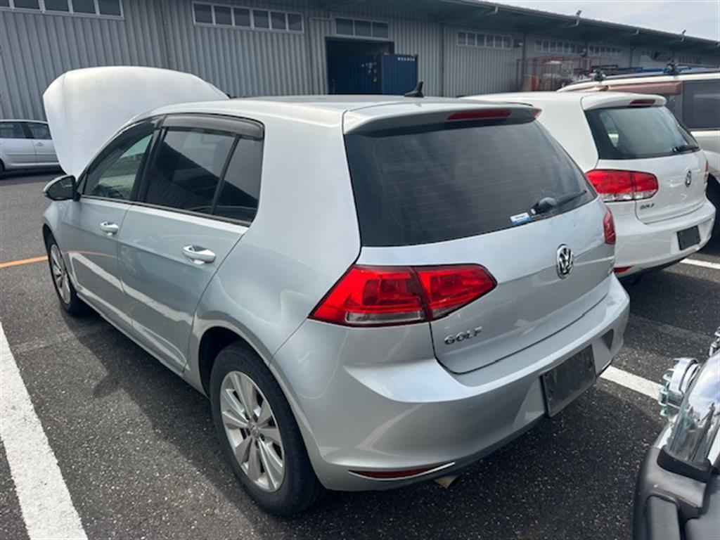 Volkswagen, Golf Left Guard Gen 7, Non Flare Type, 11/12-03/17