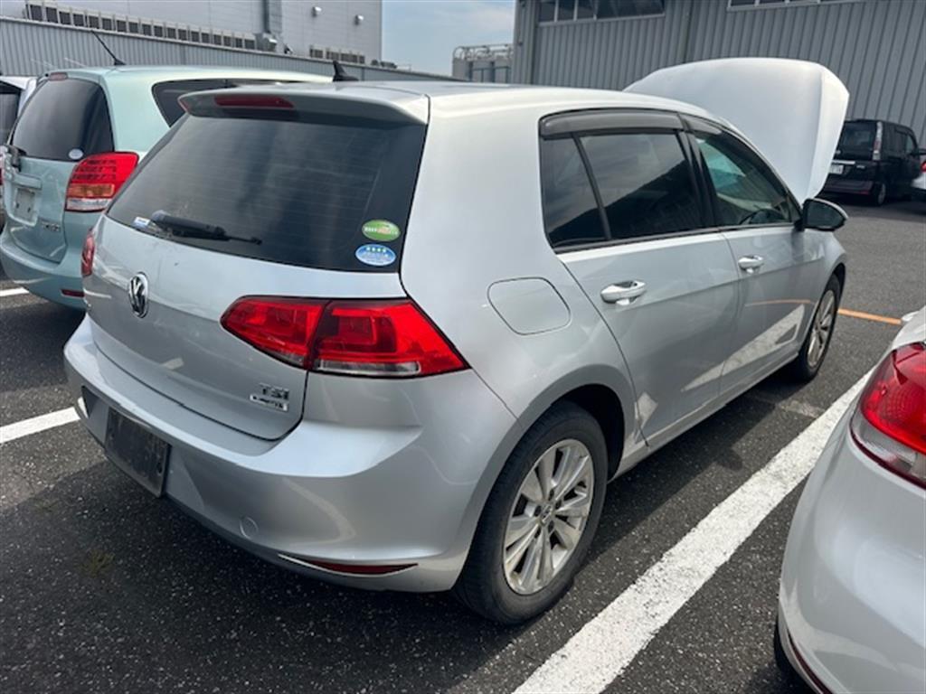 Volkswagen, Golf Left Guard Gen 7, Non Flare Type, 11/12-03/17