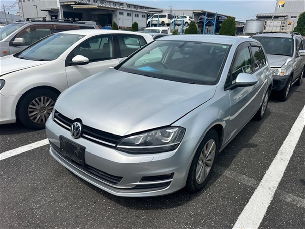 Volkswagen, Golf Left Guard Gen 7, Non Flare Type, 11/12-03/17