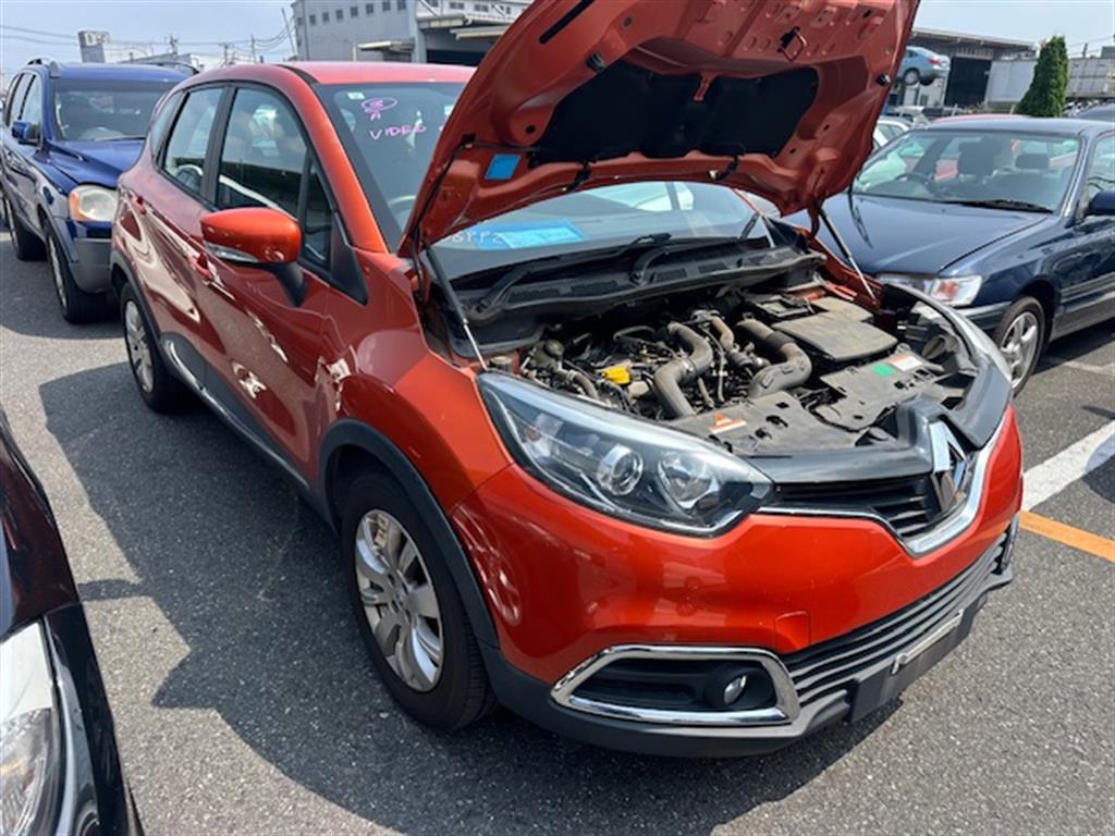 Renault, Captur Left Guard J87, 08/14-12/20