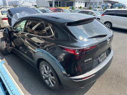 Mazda, Cx30 Bootlid/Tailgate Tailgate, W/ Power Liftgate Type, Dm, 10/19-