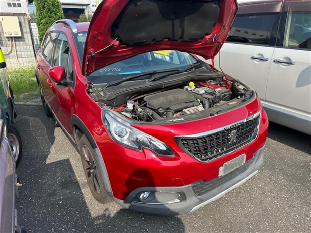 Peugeot, 2008 Right Rear Door A94, 10/13-12/18
