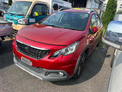 Peugeot, 2008 Right Rear Door A94, 10/13-12/18