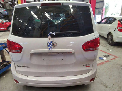 LDV G10