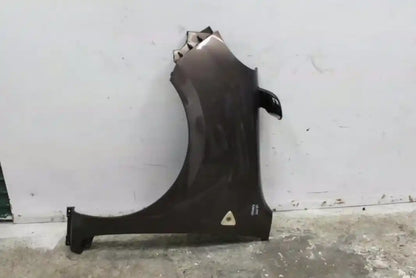 Renault, Kangoo Left Guard X61, 10/10-08/13 J1573