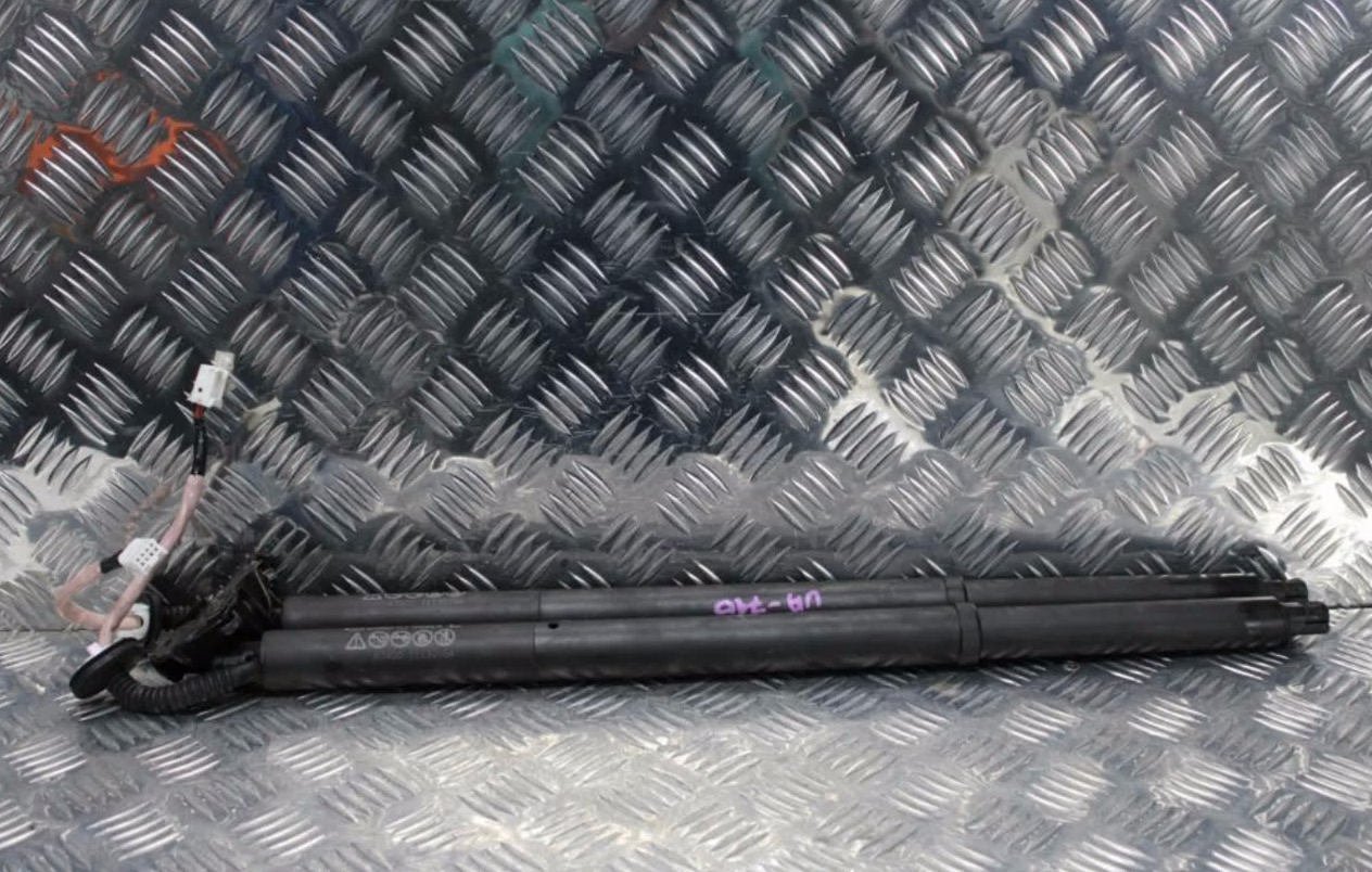 Mazda, Cx30 Hatch Strut Dm, 10/19-