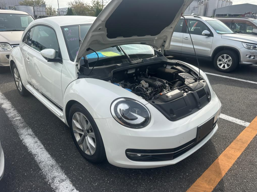 Volkswagen, Beetle Left Front Door 1L, 05/12-12/16