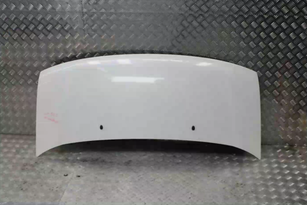 Nissan, Elgrand Bonnet E50, 05/97-05/02