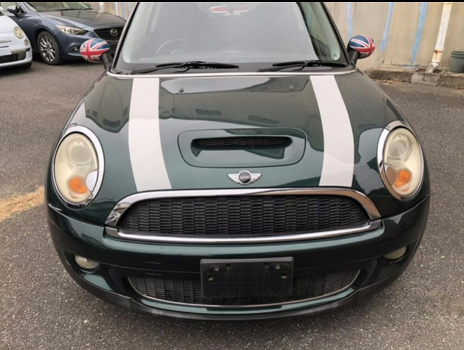 Mini, Cooper Left Guard Liner R55/R56/R57 03/07-12/15