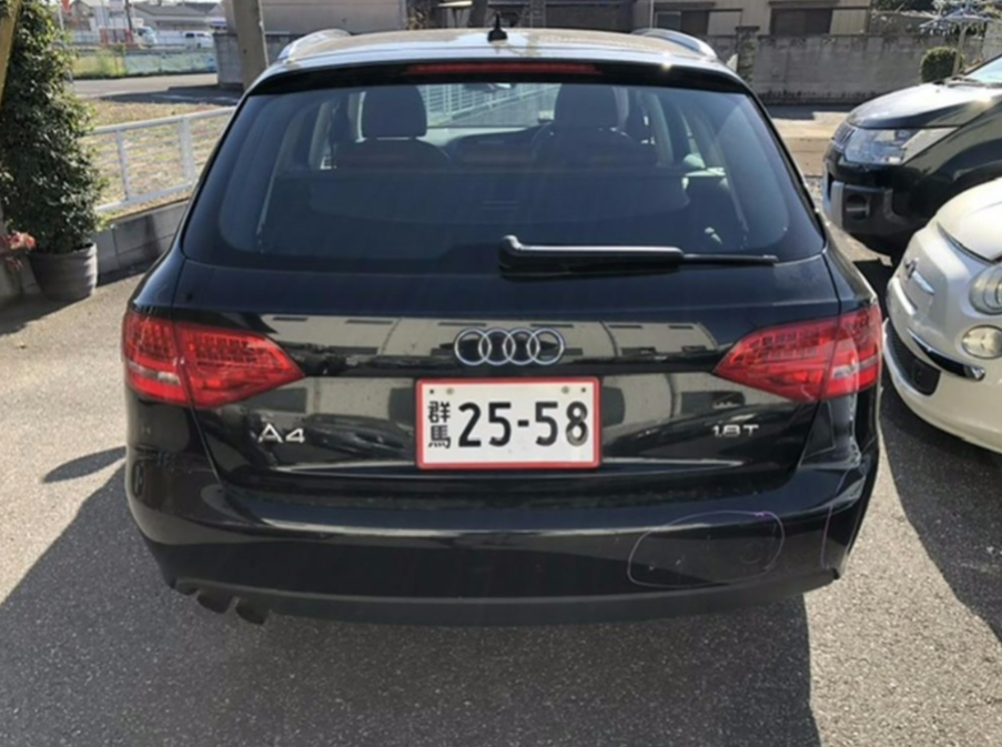 Audi, A4 Left Rear Door A4/S4, B8 8K, Wagon, 09/08-01/16