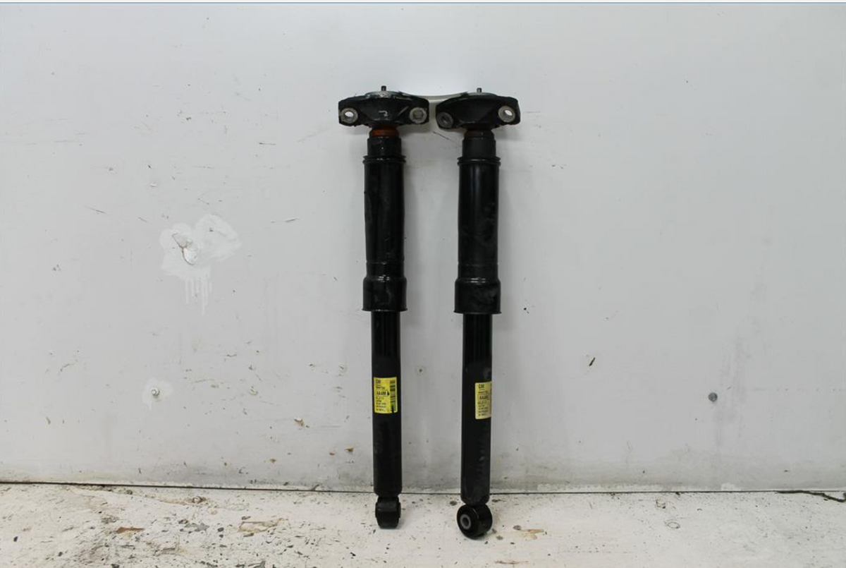 Used Holden, Trax Shock Absorber Tj Series Rear (Pair) 08/13 12/20 2017 – image 1 - All Good Parts