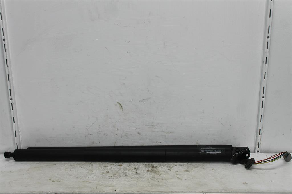 Ford, Escape Hatch Strut Zg 09/16 05/20