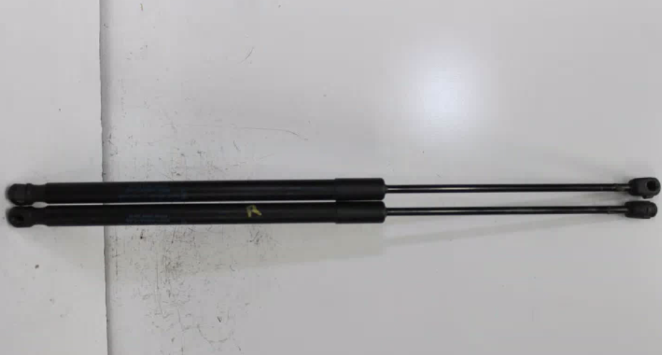 Ford, Focus Hatch Strut Tailgate Struts (Pair) Lw Lz Hatch 09/13 11/18