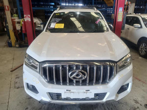 LDV T60