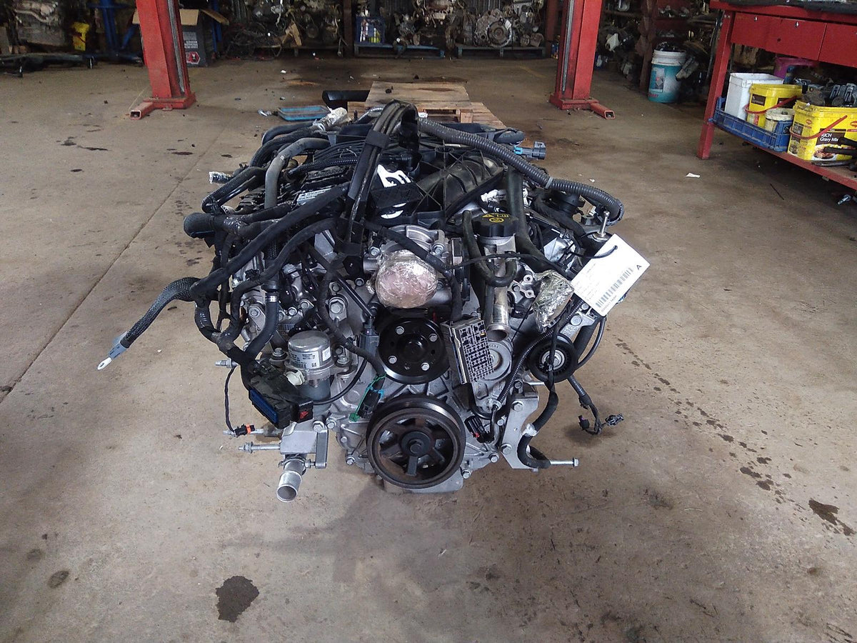 2010, HOLDEN, STATESMAN, ENGINE, PETROL, 6.0, L77, WM-WN, 09/10-08/15
